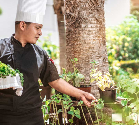 Dinner at your Cancun all-inclusive resort