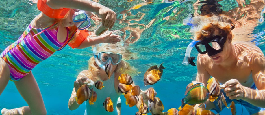 Puerto Morelos snorkeling